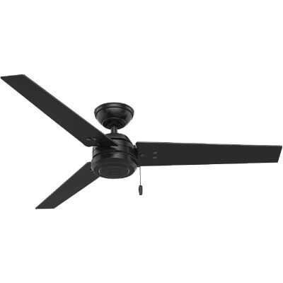 Hunter Cassius 52 In. Matte Black Damp Rated Ceiling Fan